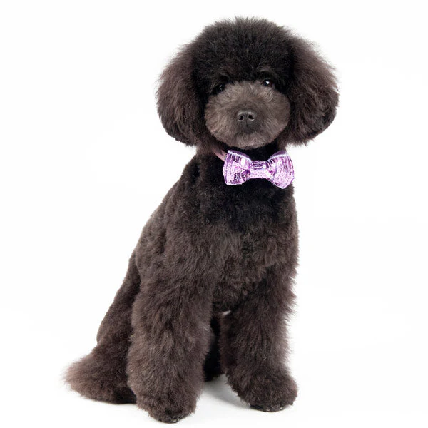 EasyBOW Sequin - Image 17