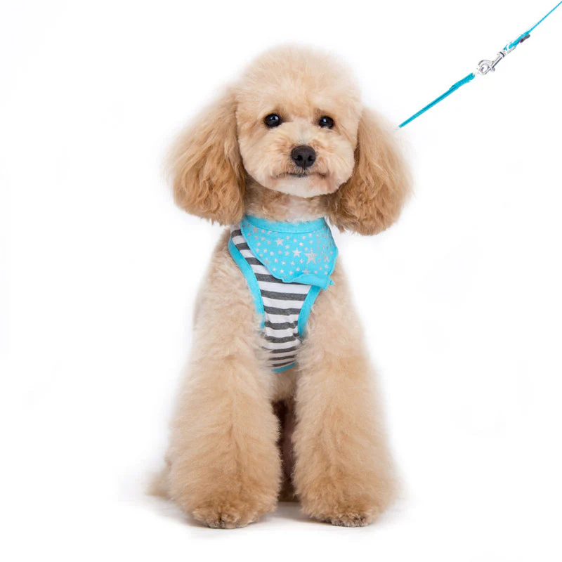 EasyGO Bandana - Image 6