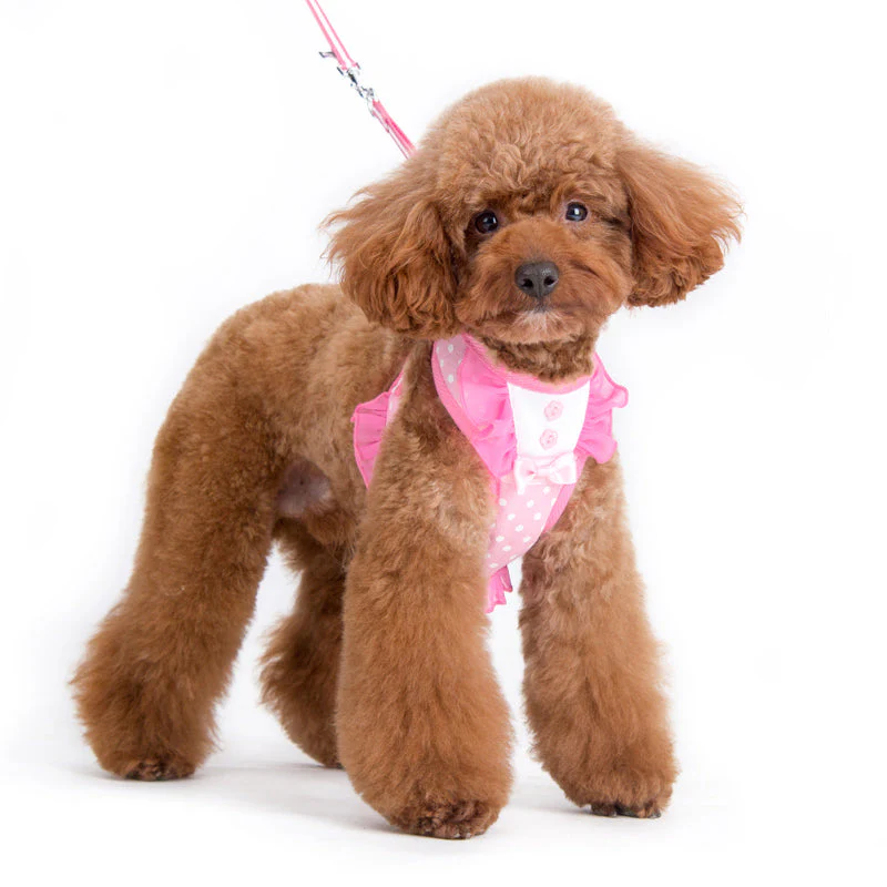 EasyGO Bow Dots - Image 2