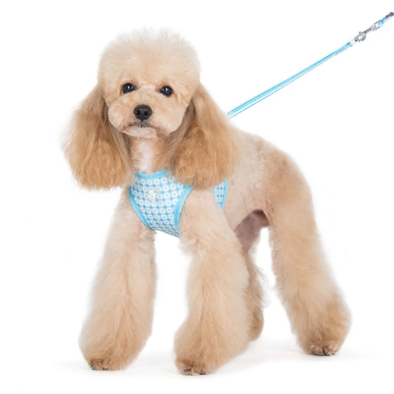 EasyGO Dots - Image 8