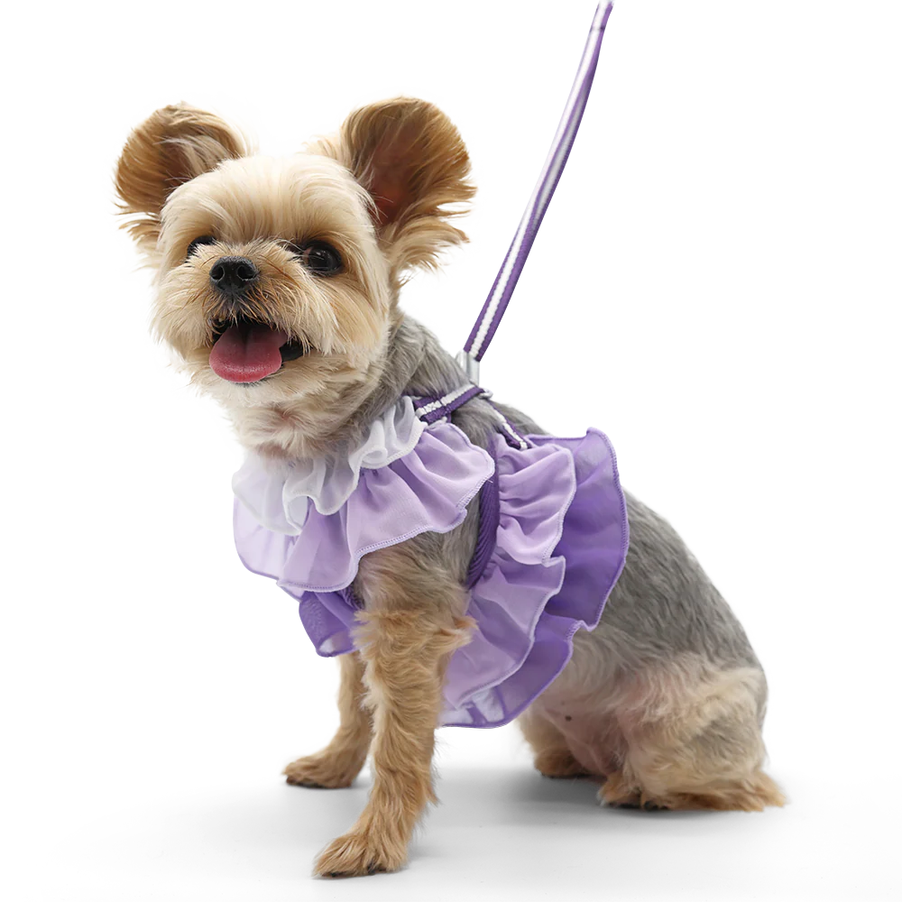 EasyGO Multi Ruffle Purple - Image 2