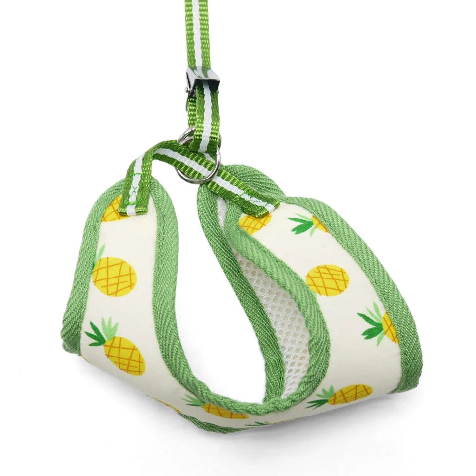 EasyGO Pineapple - Image 4