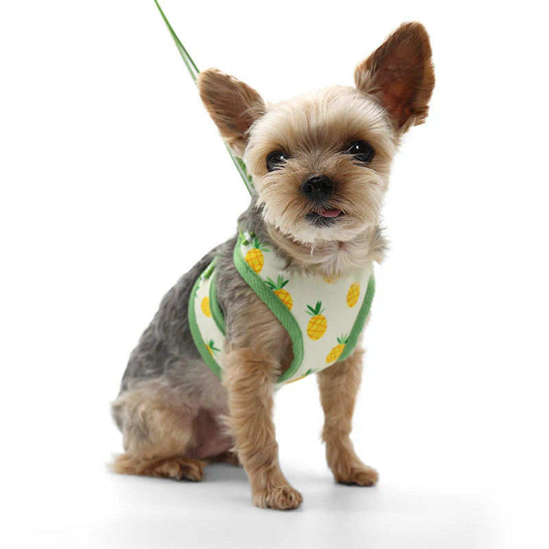 EasyGO Pineapple - Image 5