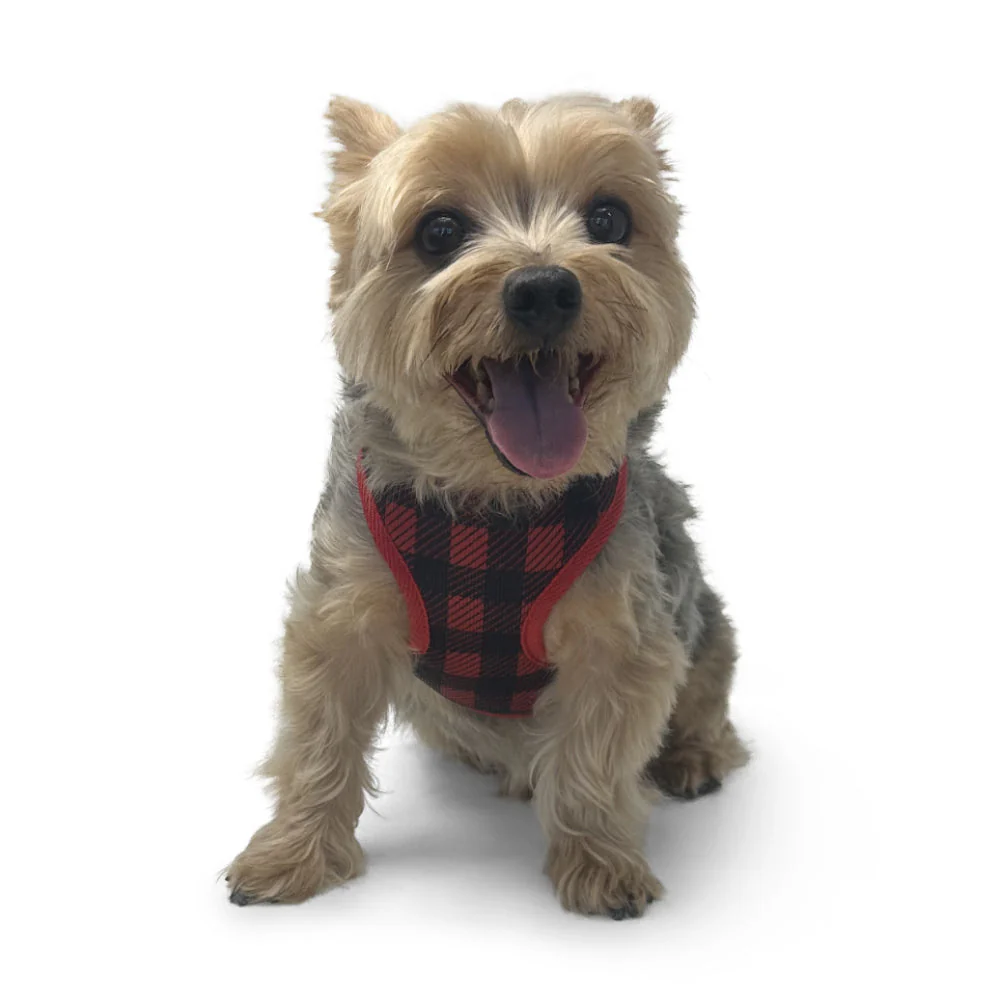 EasyGO Plaid - Image 11