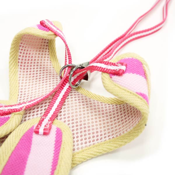 EasyGO Polo - Image 12