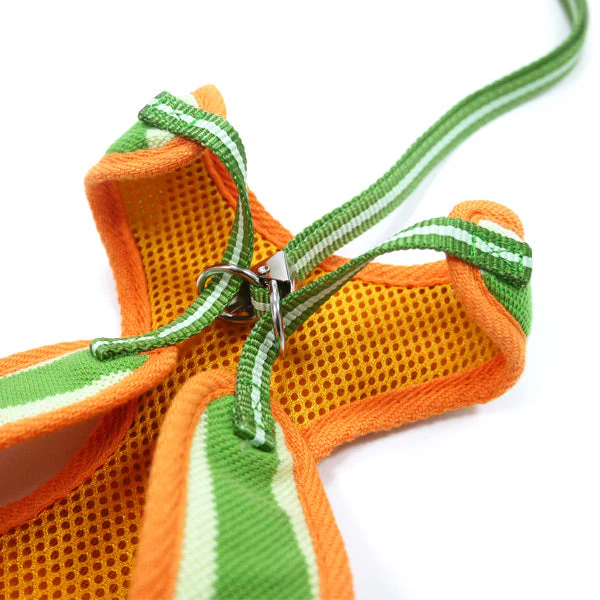 EasyGO Polo - Image 23