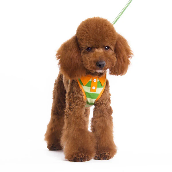EasyGO Polo - Image 24