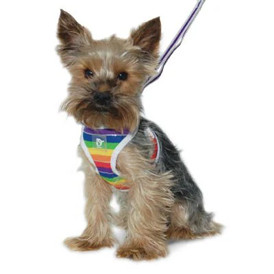 EasyGO Rainbow - Image 2