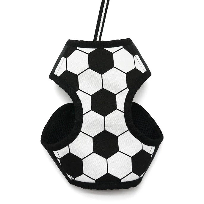 EasyGO Soccer