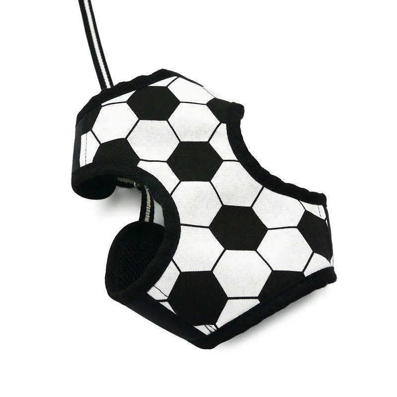 EasyGO Soccer - Image 3