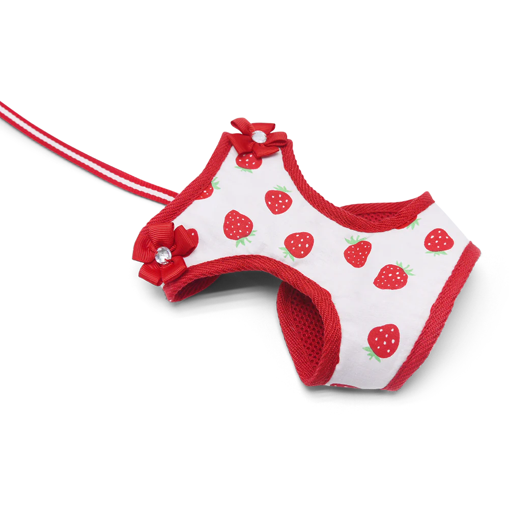 EasyGO Strawberry - Image 4