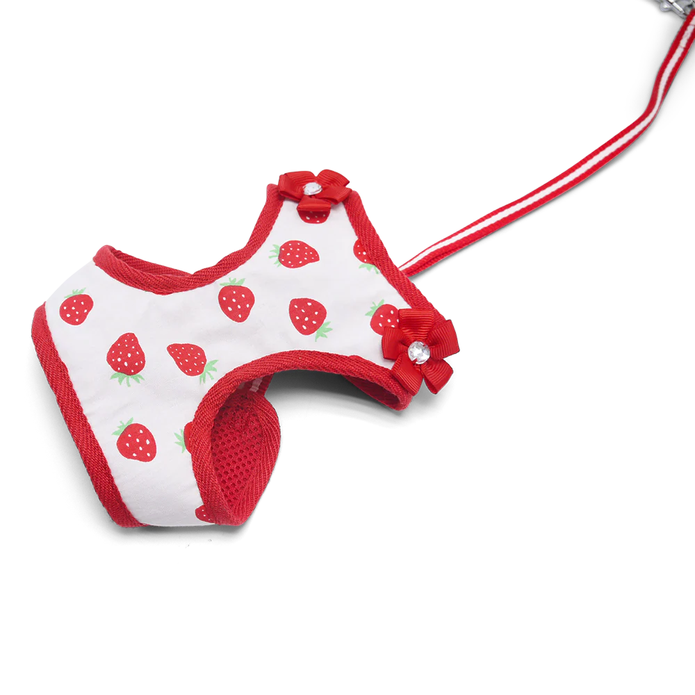 EasyGO Strawberry - Image 5
