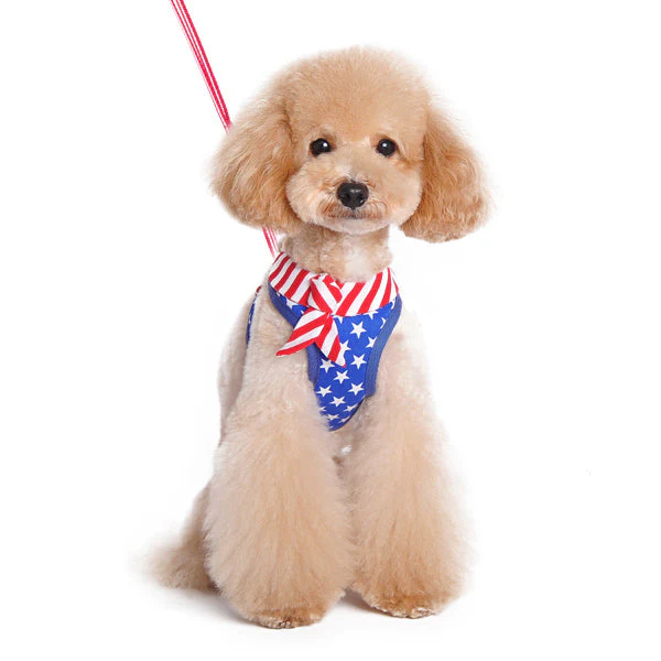 EasyGO USA - Image 2