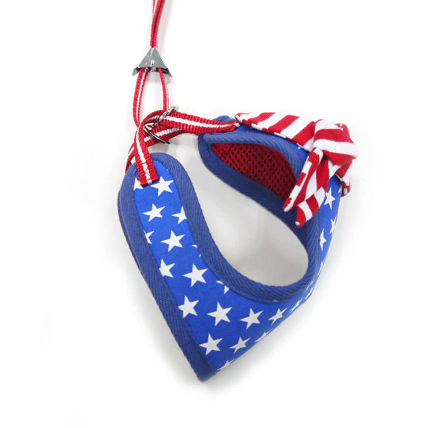 EasyGO USA - Image 6