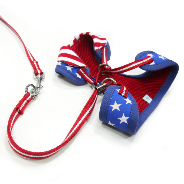 EasyGO USA - Image 7