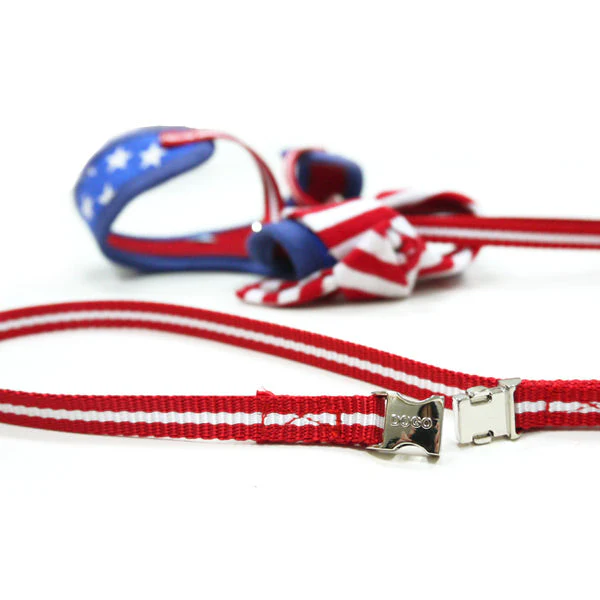 EasyGO USA - Image 8