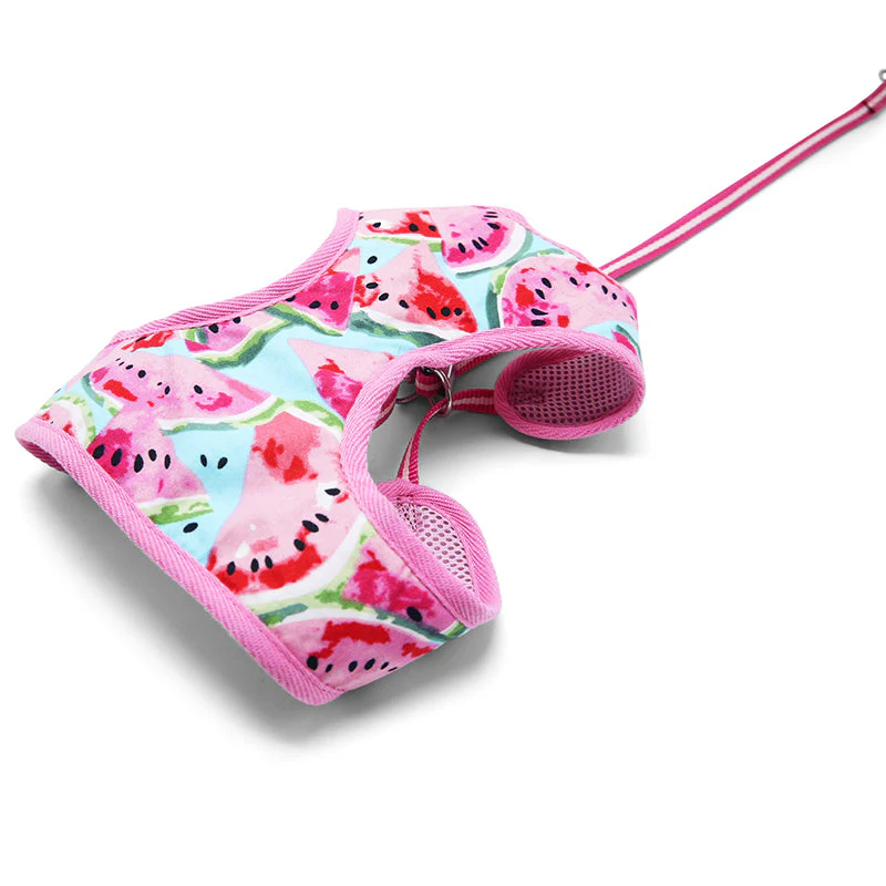 EasyGO Watermelon - Image 2