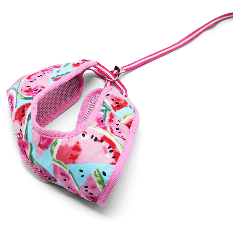 EasyGO Watermelon - Image 3