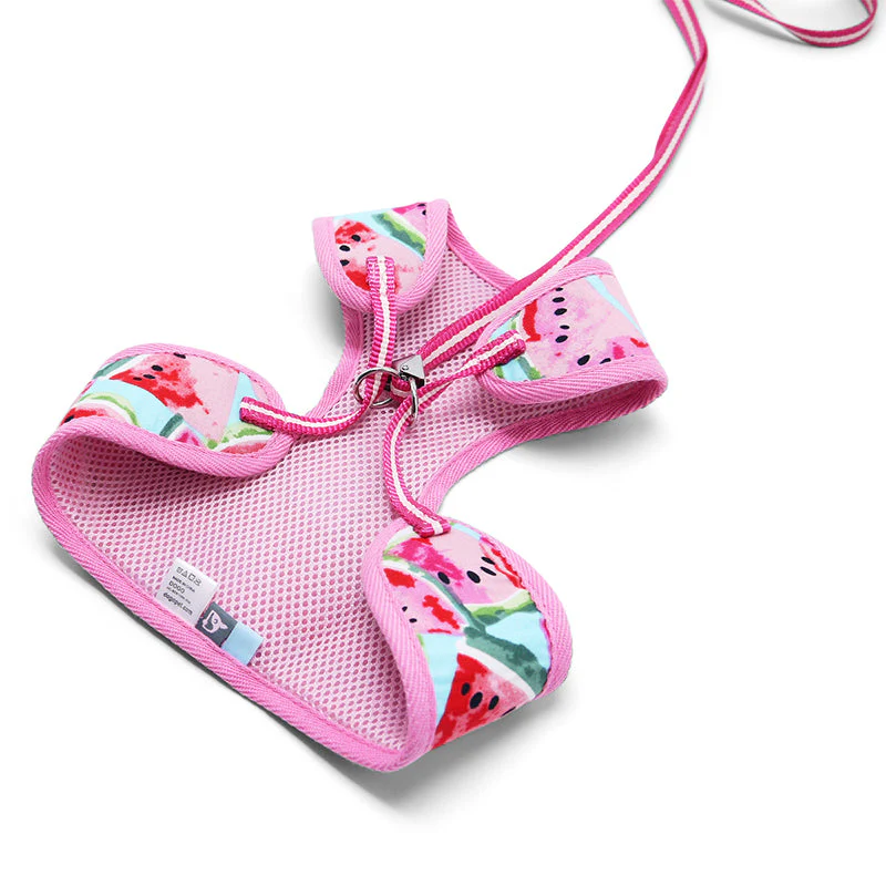EasyGO Watermelon - Image 5