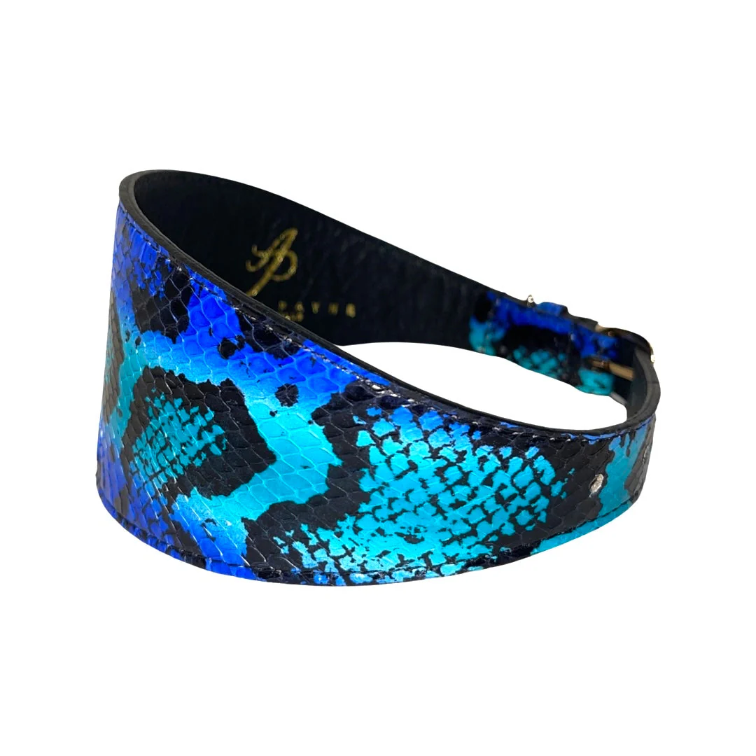 Electric/Turquoise Blue & Black Custom Snake 4” Wide Style Collar - Image 2