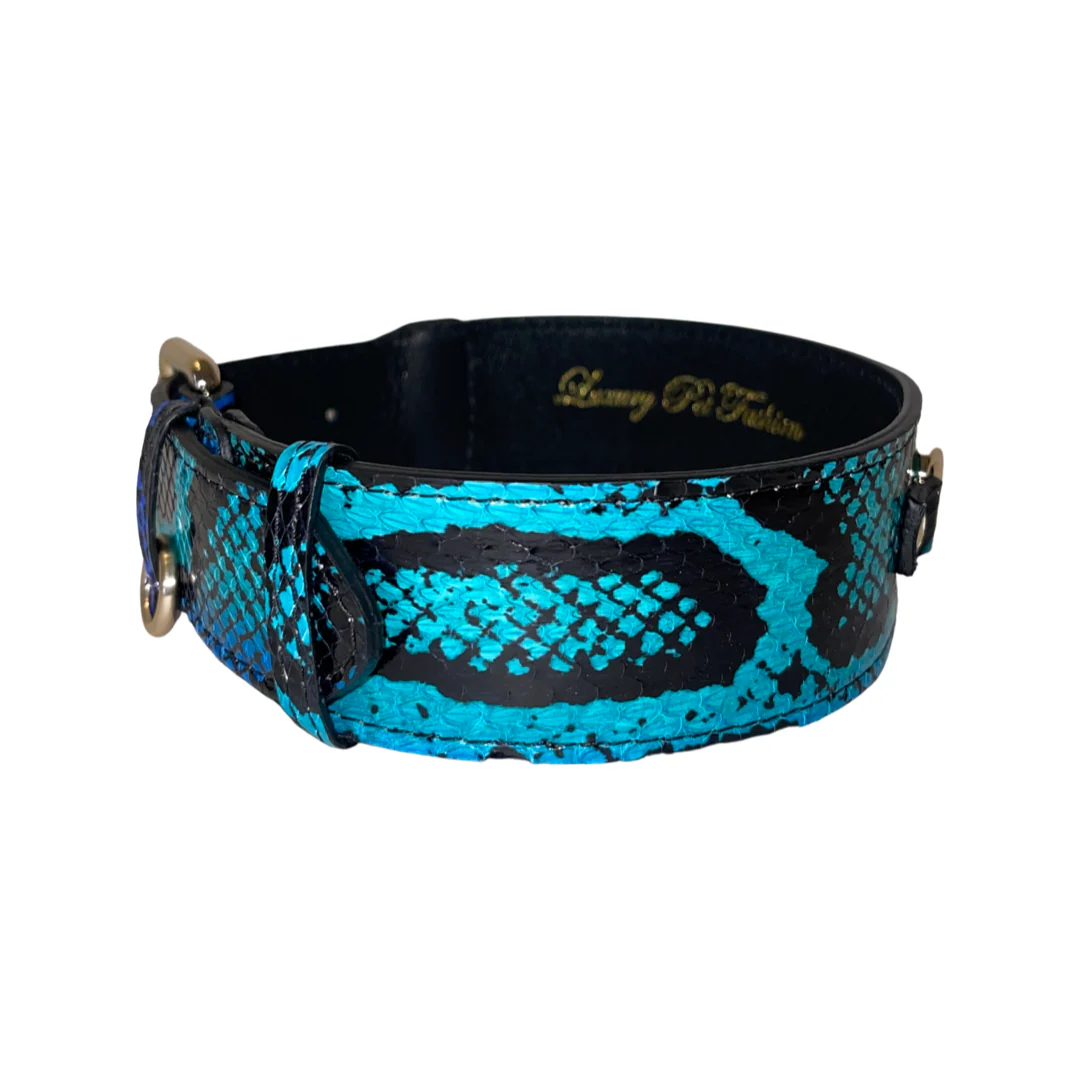 Electric/Turquoise Blue & Black Snake Classic Collar With Gold Classic Hardware - Image 3