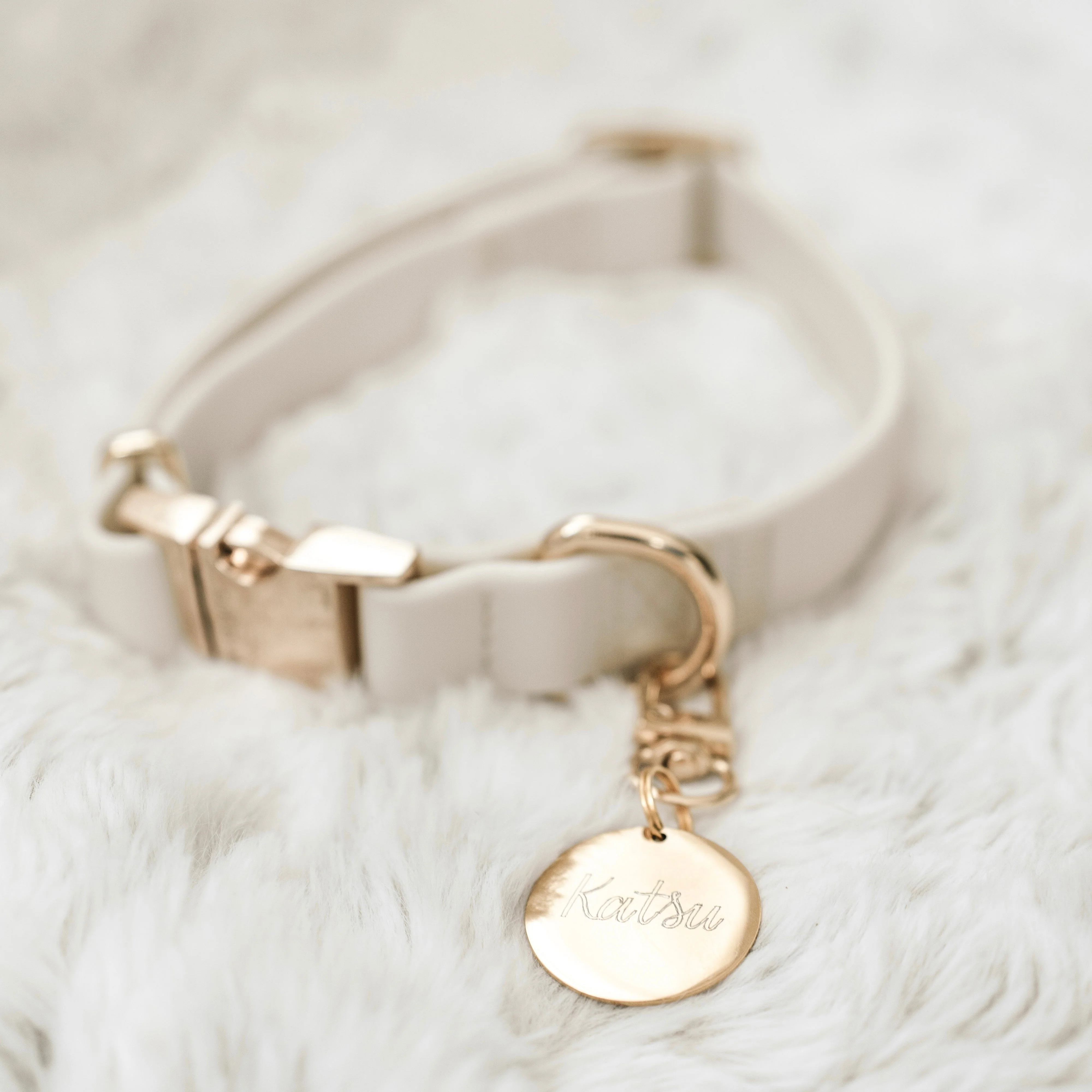 Elise Collar & Leash Set - Bone - Image 2