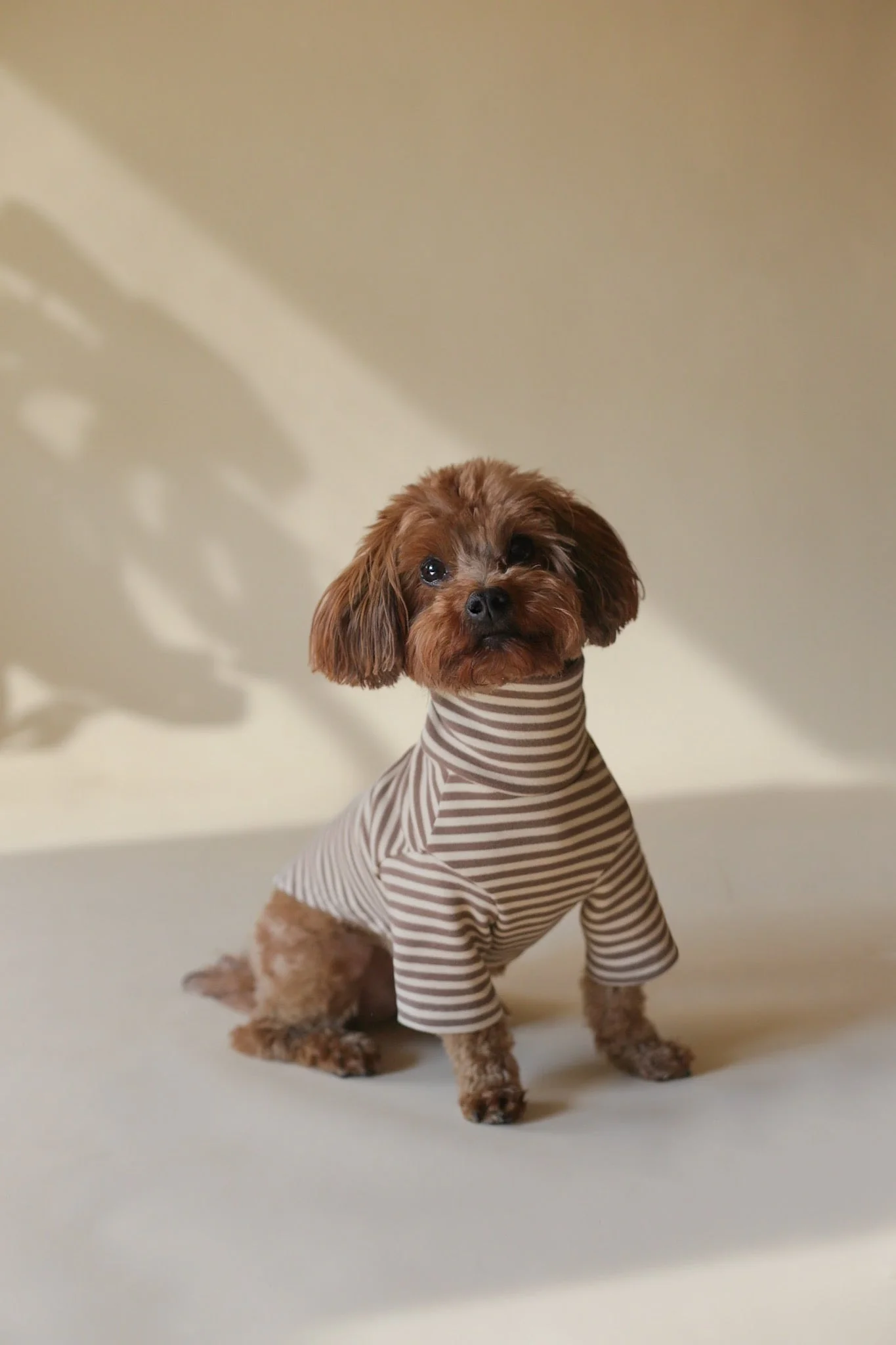 Eloise - Image 10