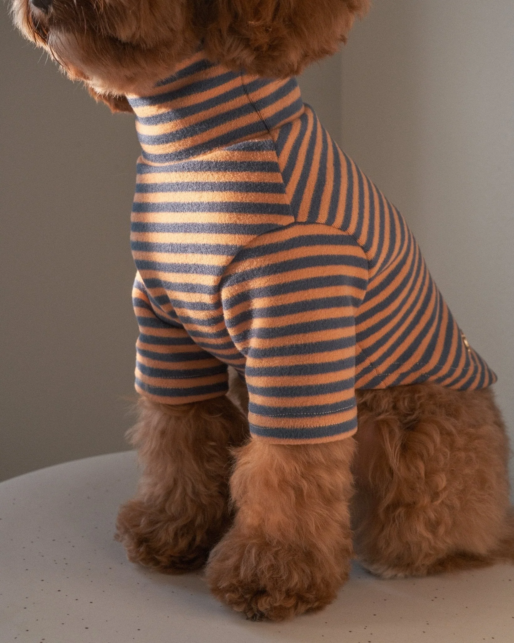 Eloise - Image 7