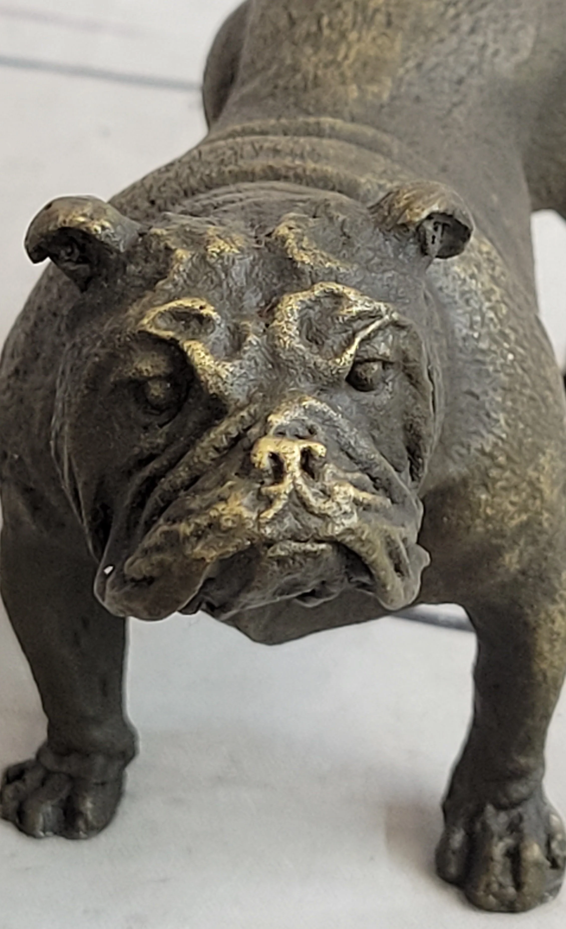 English Bulldog Miniature Bronze Statue Sculpture Figure Figurine Original Art 3" x 6" - Image 8