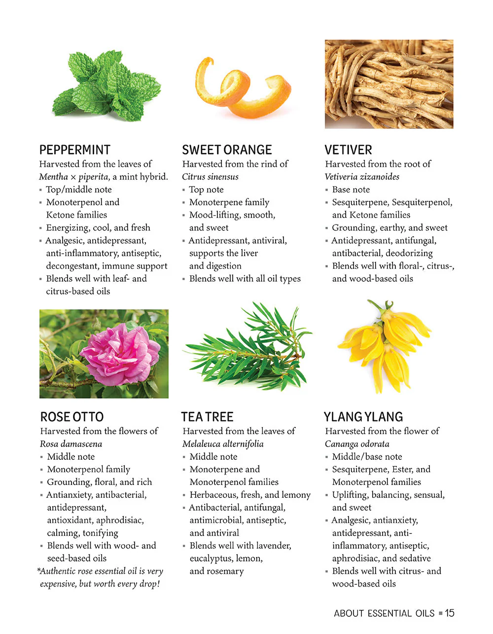 Essential Oil Recipes for Home and Body Care - Image 7