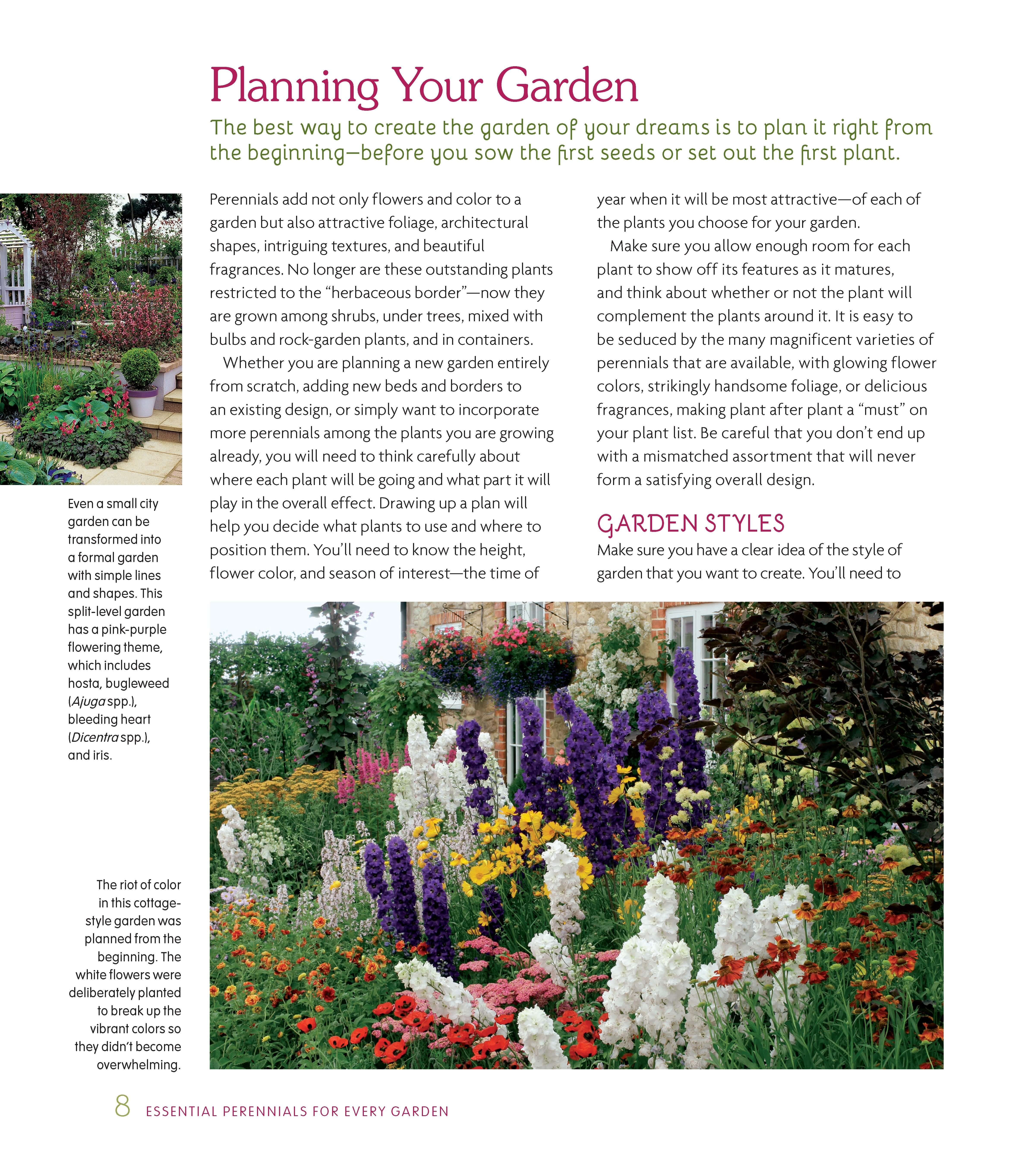 Essential Perennials for Every Garden - Image 3