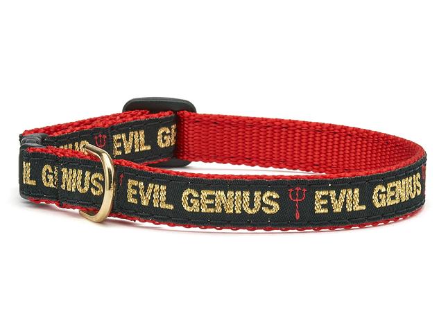 Up Country Evil Genius Breakaway Cat Collar
