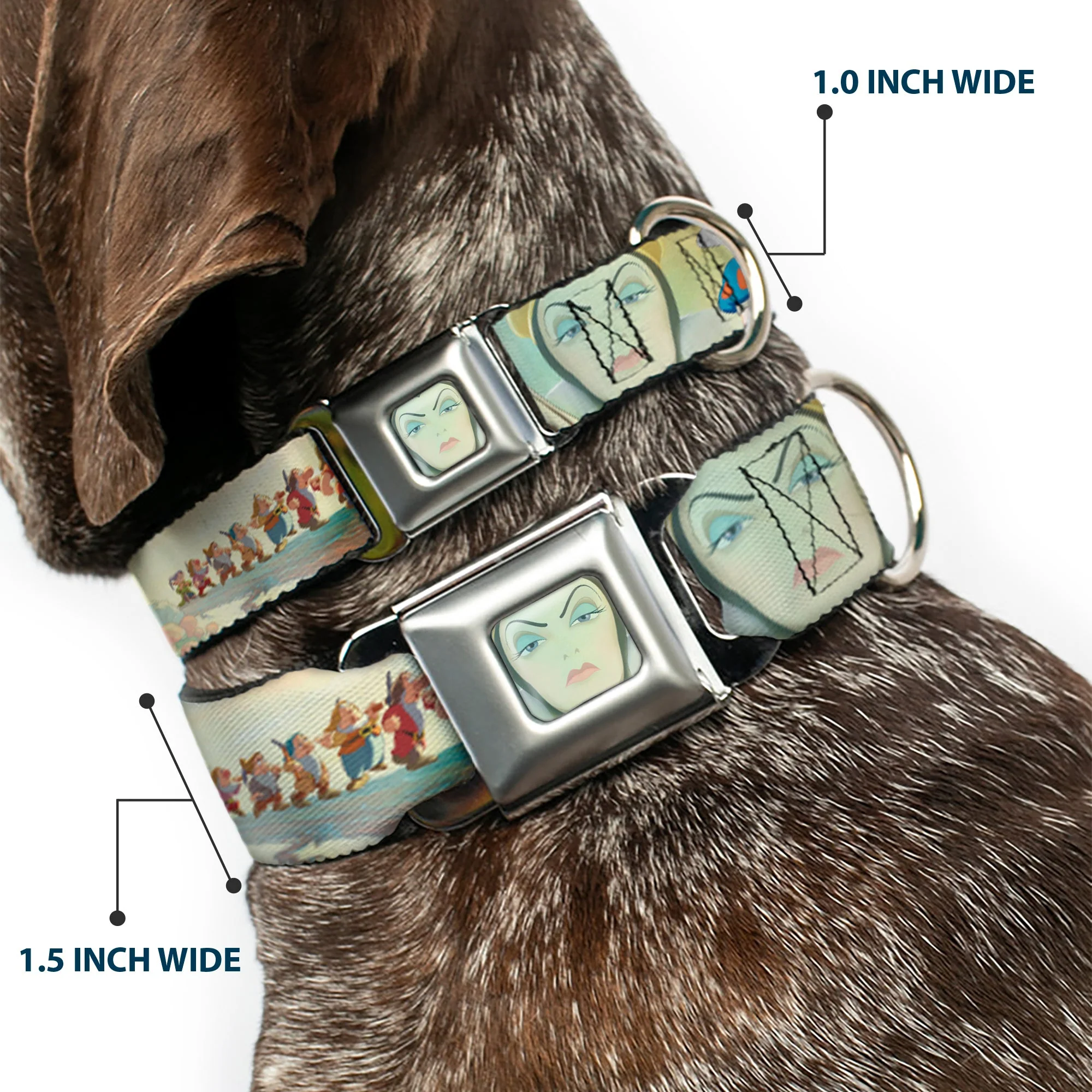 Evil Queen Face CLOSE-UP Full Color Seatbelt Buckle Collar - Snow White/Dwarves/Old Witch/Evil Queen Scenes - Image 2