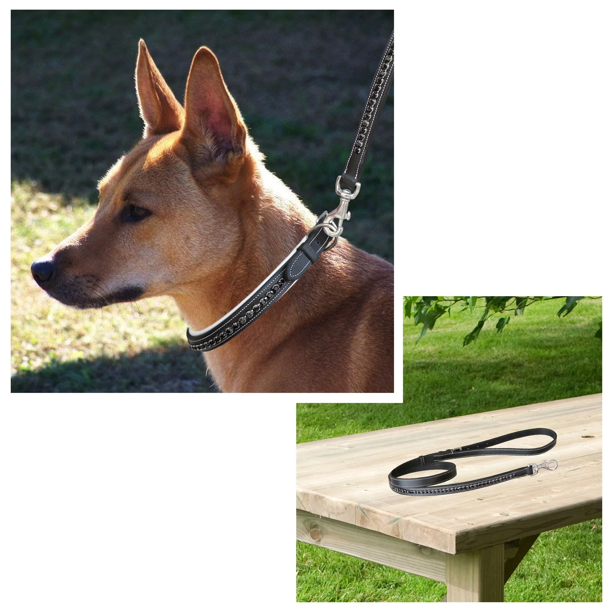 ExionPro Black Bling Dog Leash - Image 2