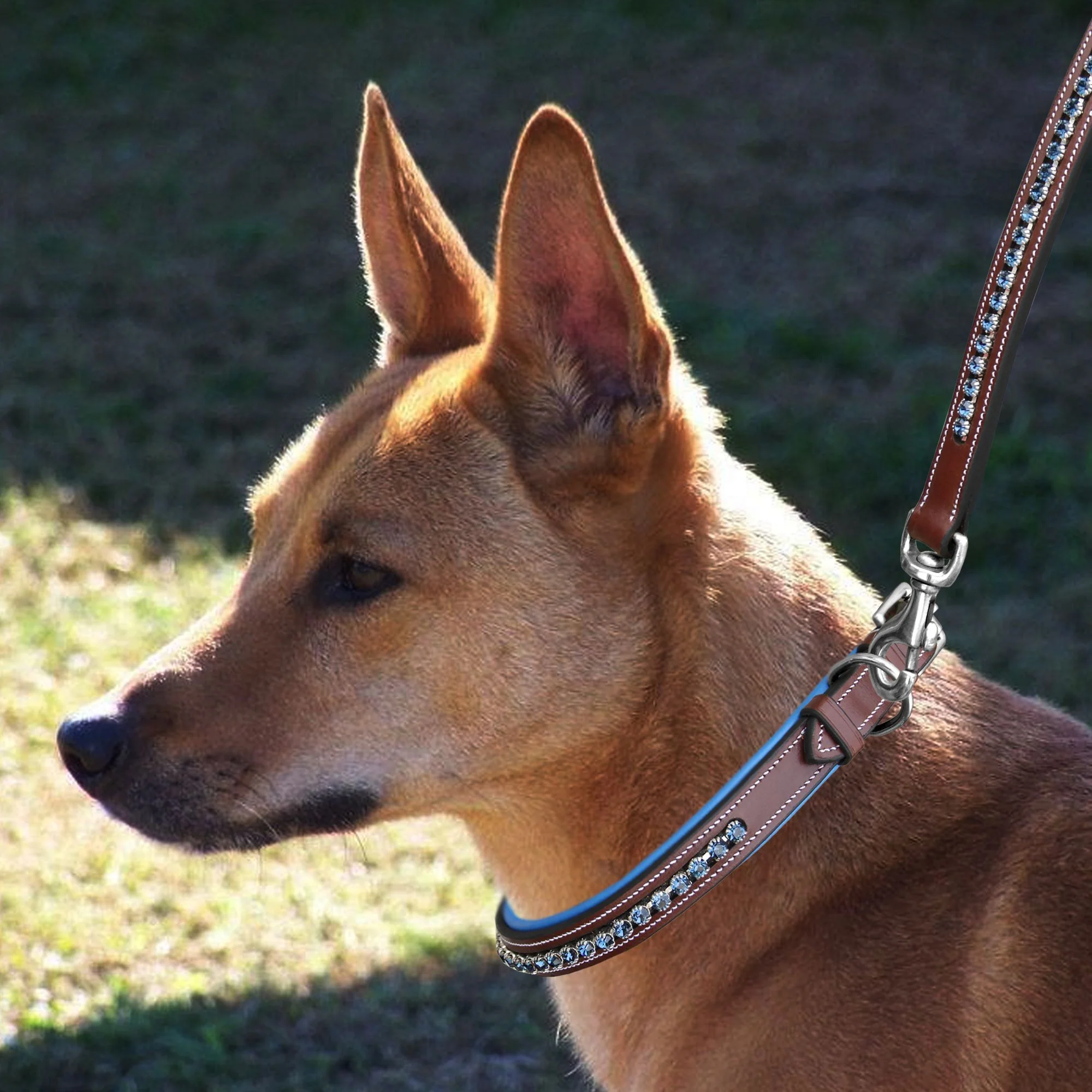 ExionPro Dark Blue Bling Dog Leash - Image 3