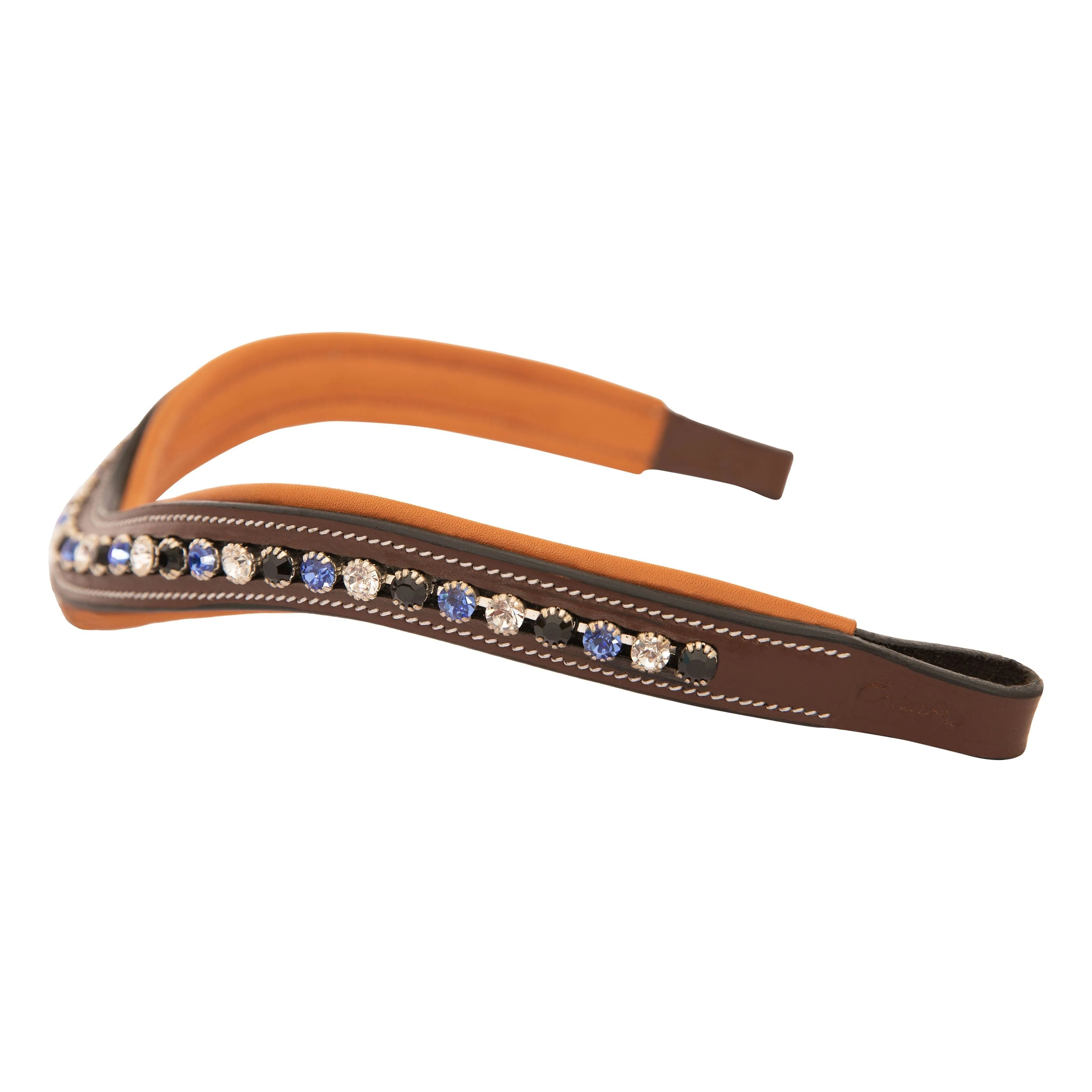 ExionPro Elegant, Attractive Blue, Black & Alternative Clear Crystal Browband - Image 4