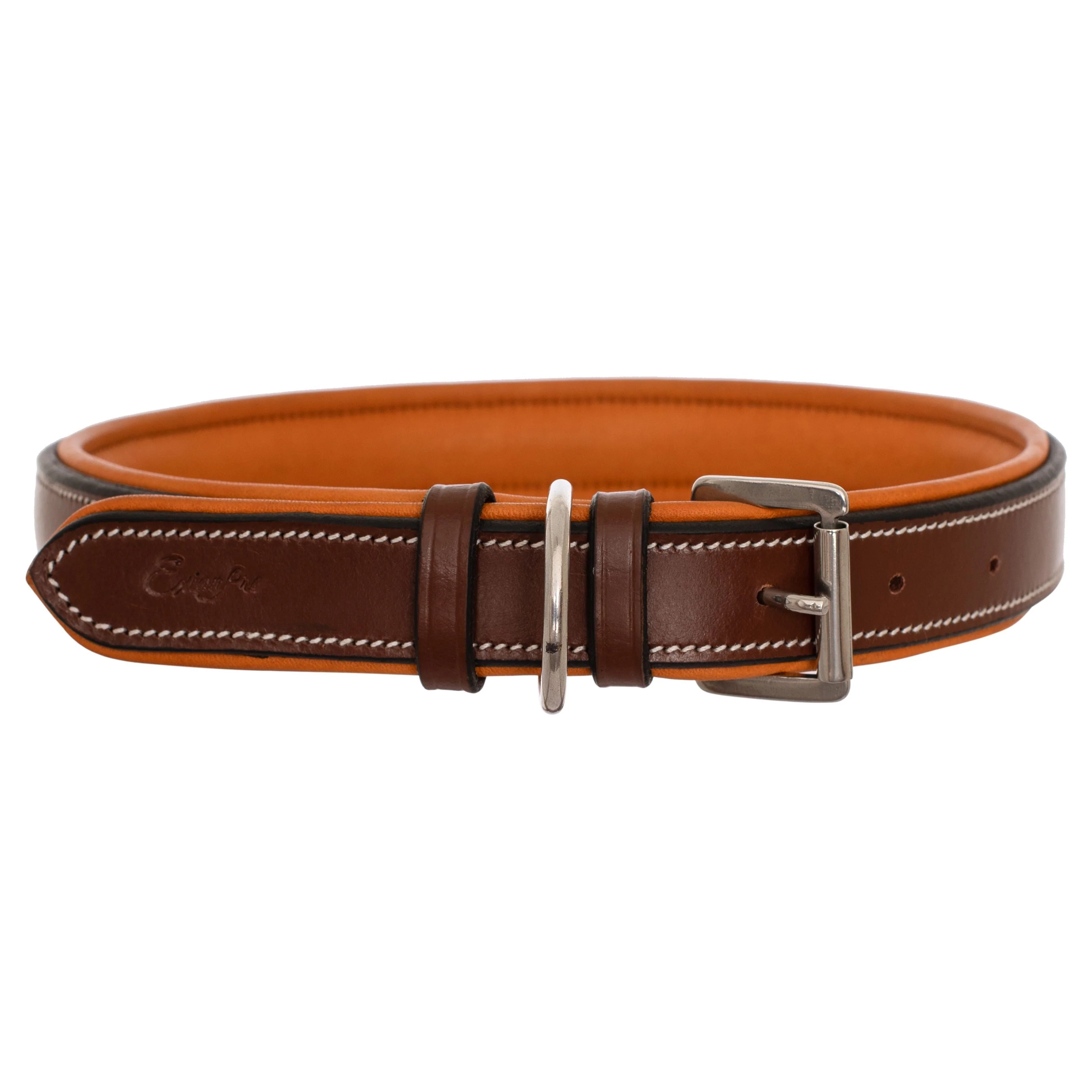 ExionPro Fancy Stitched Padded Leather Dog Collar - Conker Padding - Image 4