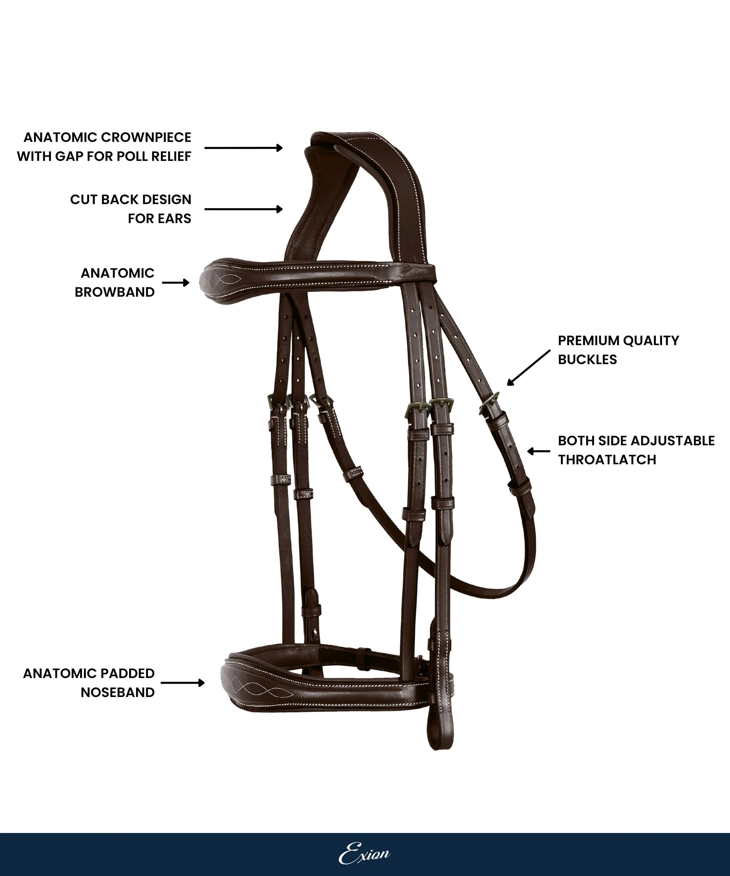 ExionPro Fancy Stitched Raised Anatomical Bridle with Reins without Flash - Image 4
