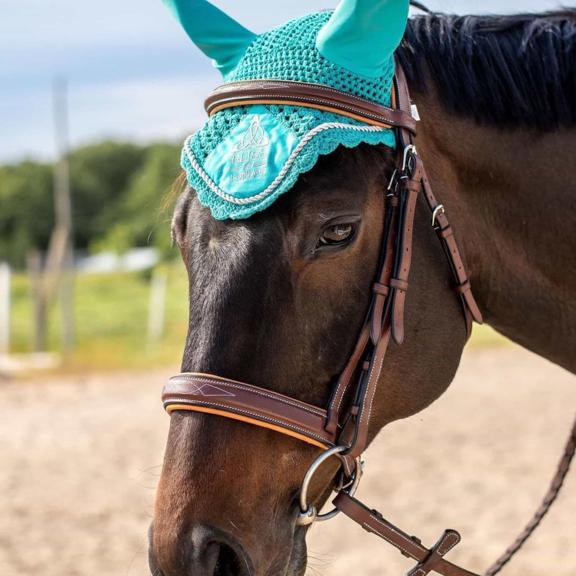 ExionPro Padded Hunter Bridle with Reins - Image 9