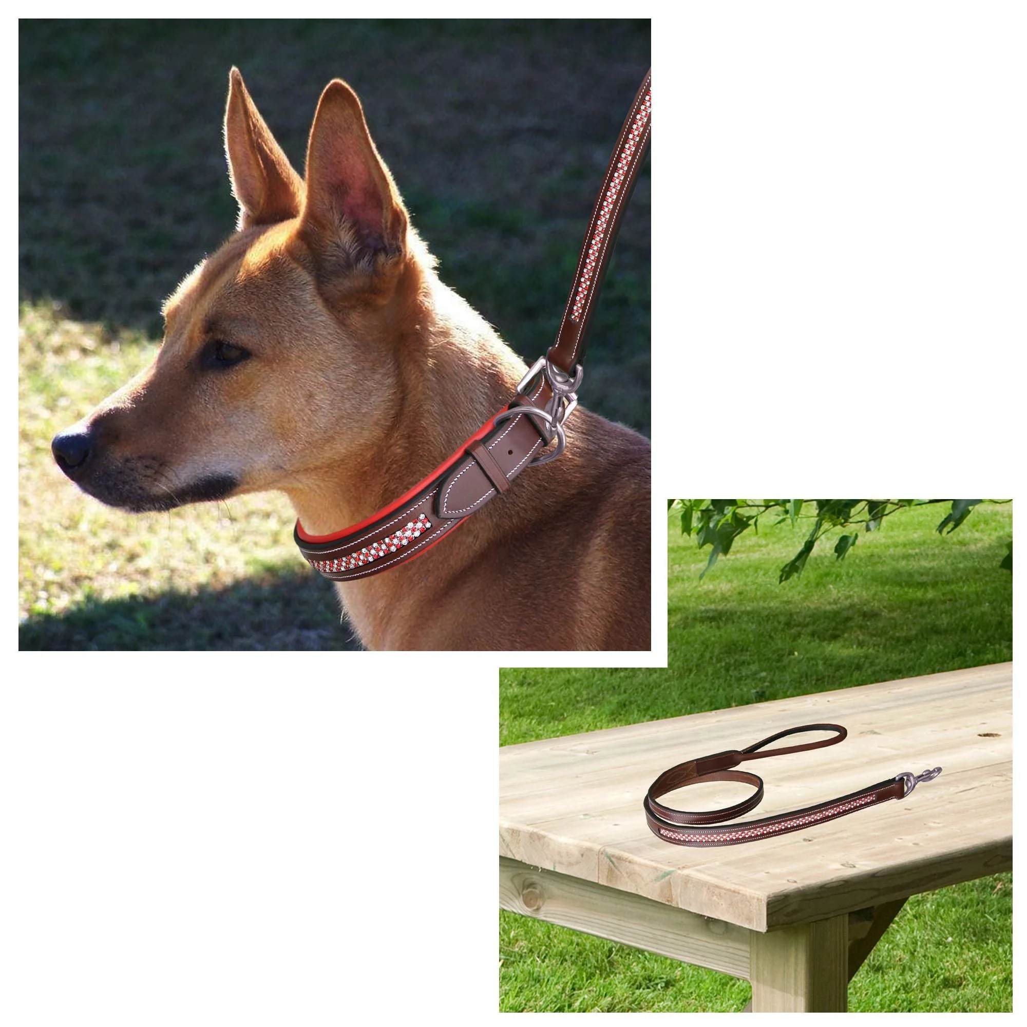 ExionPro Red Bling Padded Dog Leash - Image 4