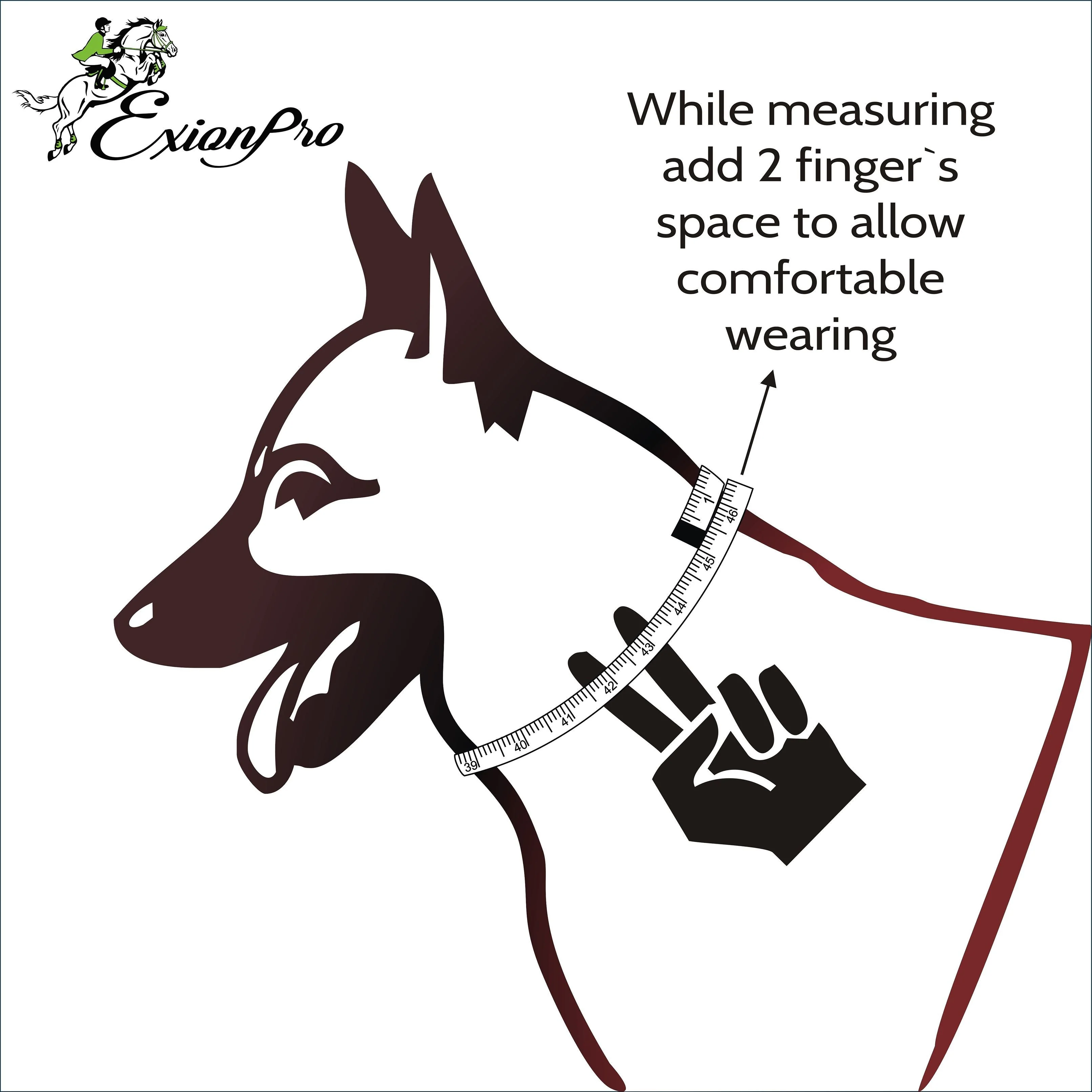 ExionPro Silver Clincher Padded Leather Dog Collar - Brown Padding - Image 6