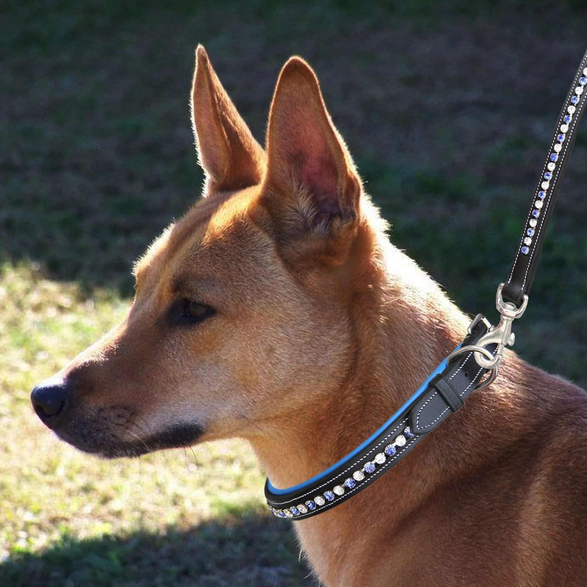 ExionPro White & Blue Bling Dog Collar - Image 7