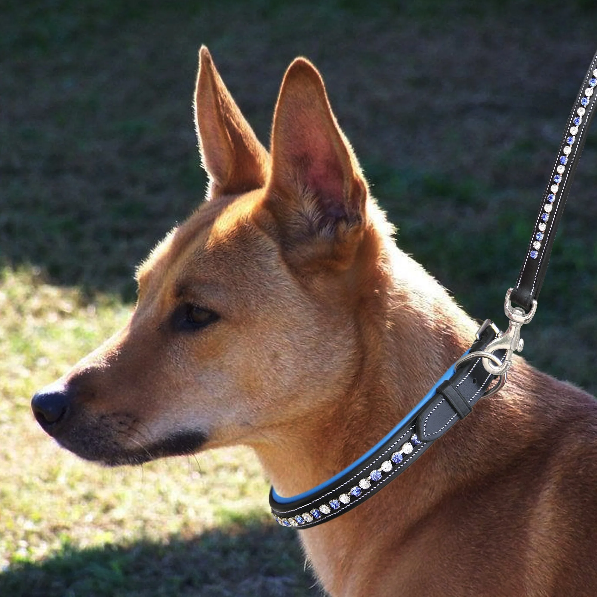 ExionPro White & Blue Bling Dog Collar With Leash - Image 5