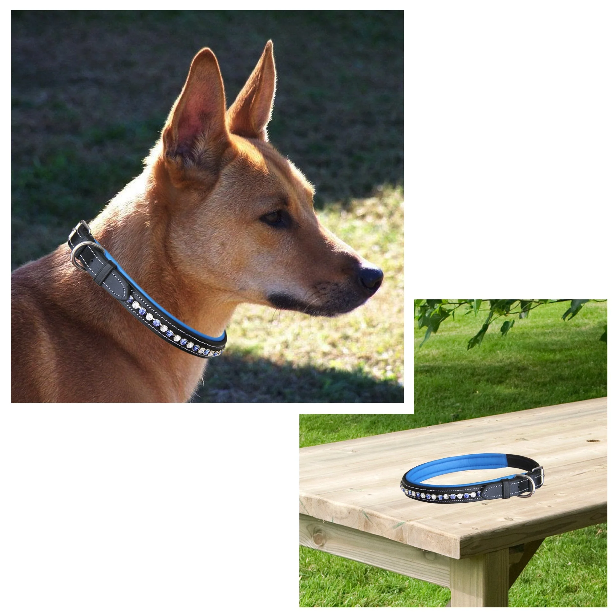 ExionPro White & Blue Bling Dog Collar With Leash - Image 6