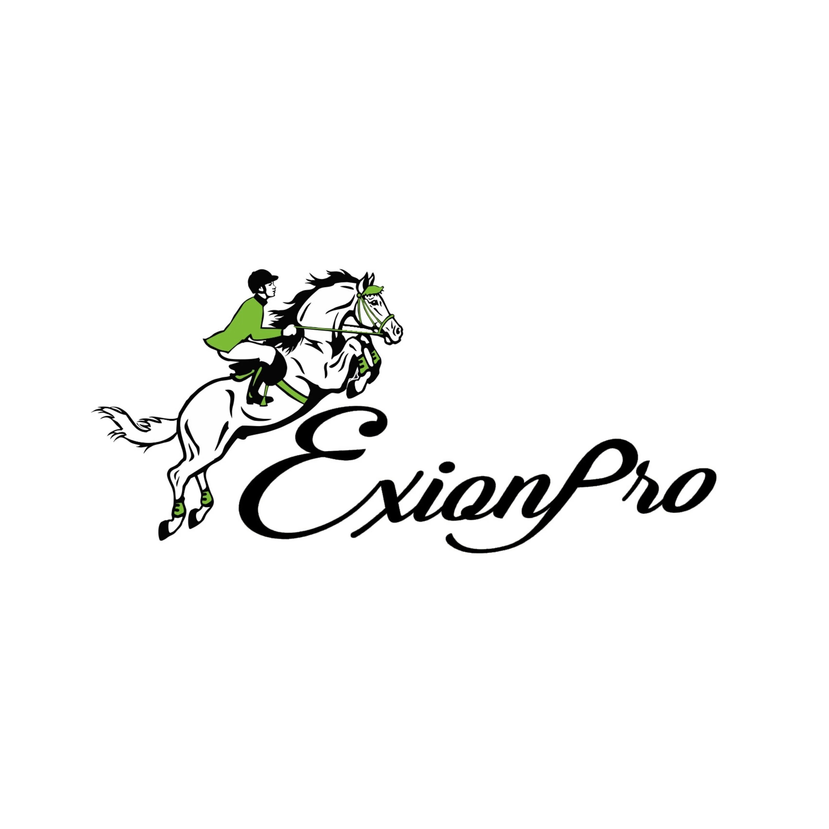ExionPro Wings Breastplate - Image 12