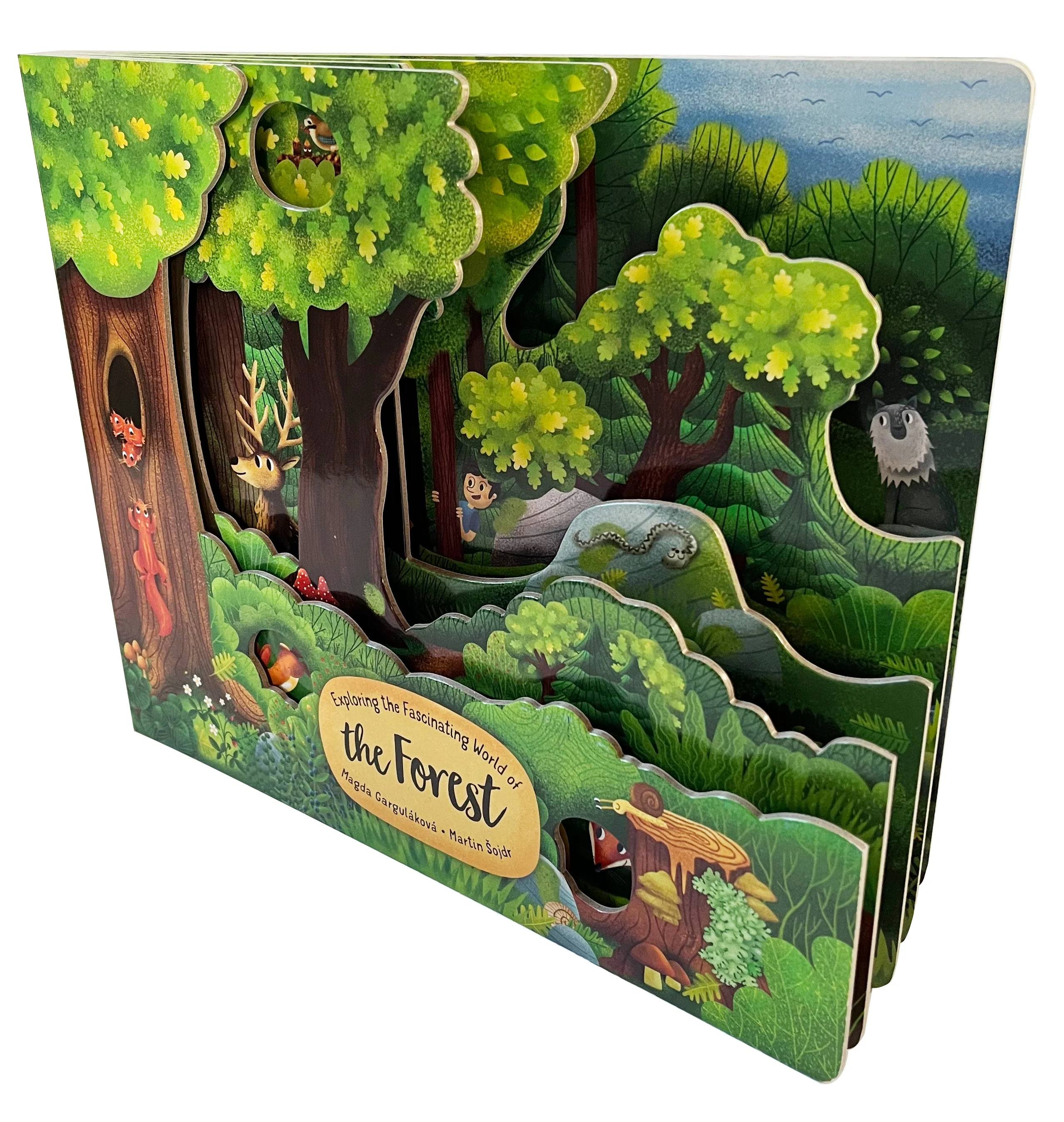 Exploring the Fascinating World of the Forest - Image 4