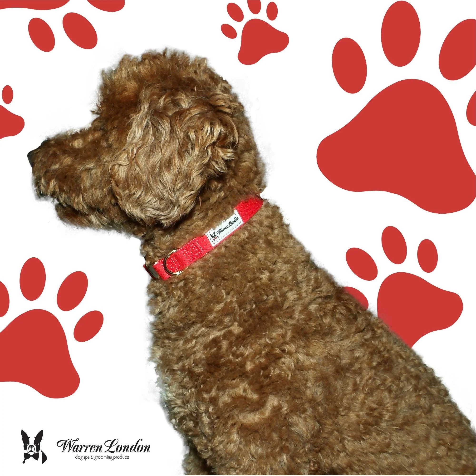 Fabric Dog Collar - Red - Image 5