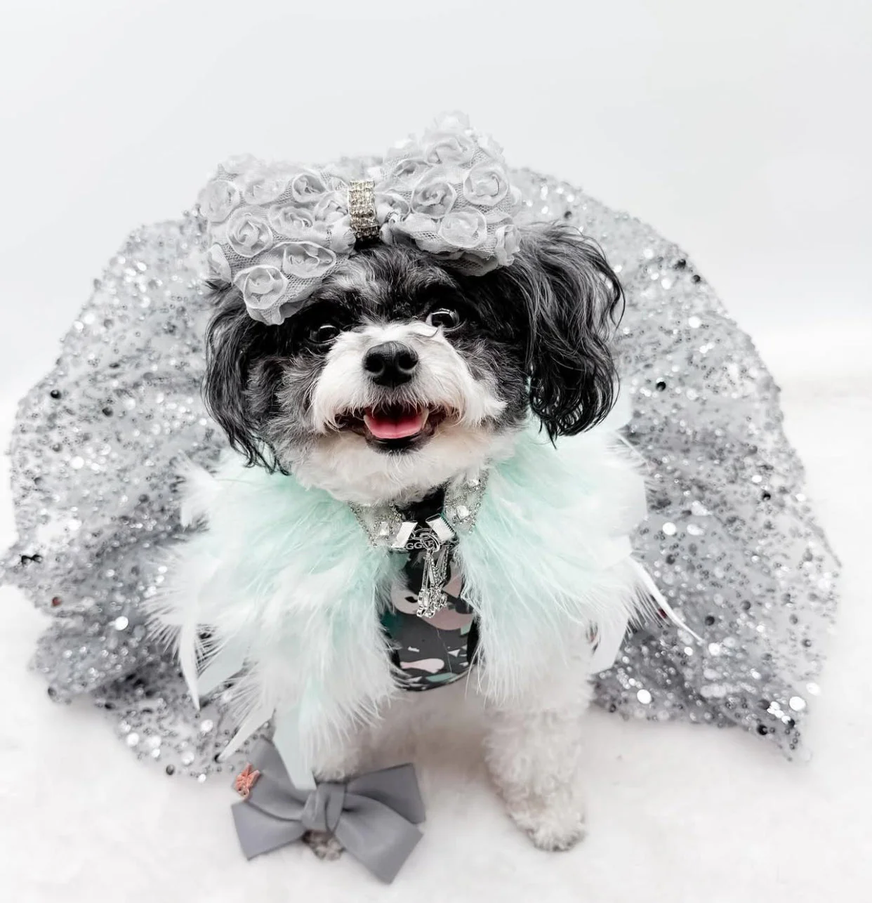 Fairytale Feathers: Prince Charming BB (pre-order) - Image 3