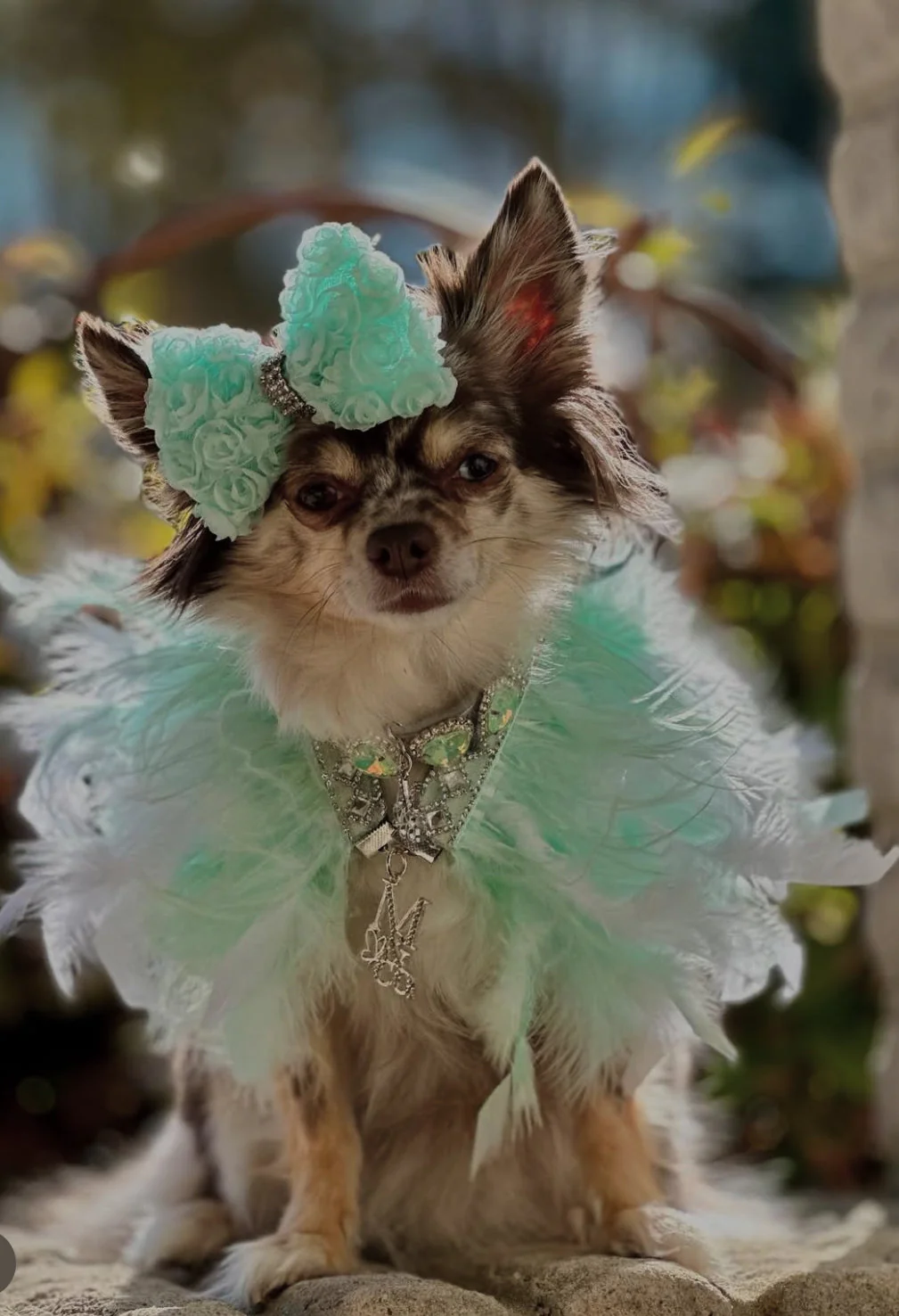 Fairytale Feathers: Prince Charming BB (pre-order) - Image 4