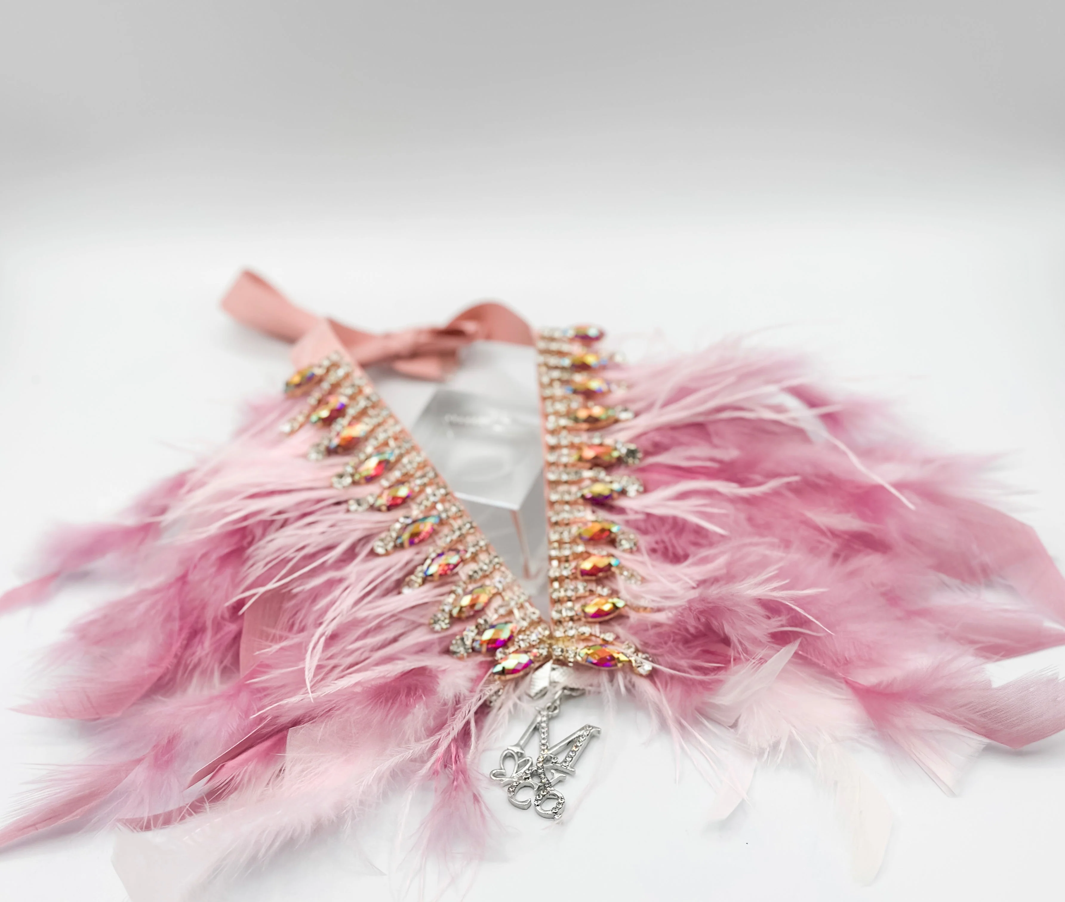 Fairytale Feathers: The Aurora - Image 2